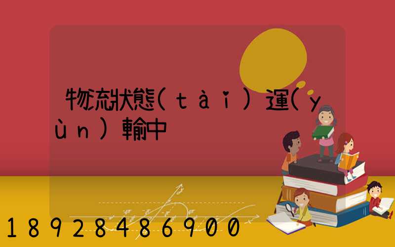 物流狀態(tài)運(yùn)輸中